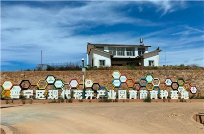 【案例故事】享誉世界的春城花都，金博宝188欢迎您
助力云南晋宁走出“芬芳”致富路