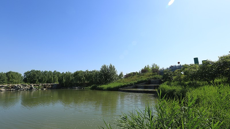 北京东郊湿地公园-采用金博宝188欢迎您
广播系统